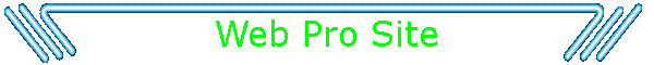 Web Pro Site